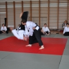 Trening Aikido w Anshin Dojo ��d�