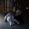 Trening Aikido w Anshin Dojo ��d�