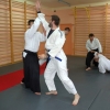 Trening Aikido w Anshin Dojo ��d�
