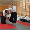 Trening Aikido w Anshin Dojo ��d�