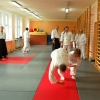 Trening Aikido w Anshin Dojo ��d�