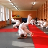 Trening Aikido w Anshin Dojo ��d�