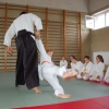 Trening Aikido w Anshin Dojo ��d�