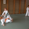 Trening Aikido w Anshin Dojo ��d�