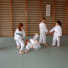 Trening Aikido w Anshin Dojo ��d�