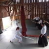 Trening Aikido w Anshin Dojo ��d�