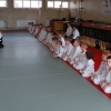 Trening Aikido w Anshin Dojo ��d�